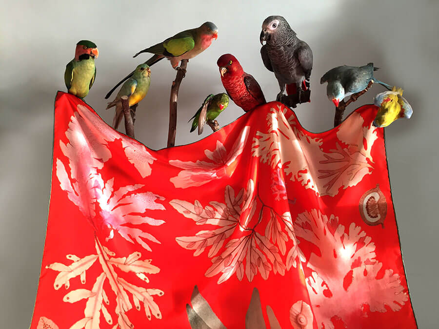 algae printed red silk scarf with birds
