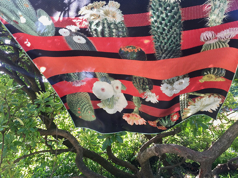 cactus printed red and black silk scarf flying on a tree