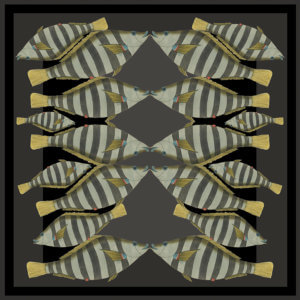 dark stripy kissing fish silk twill scarf design