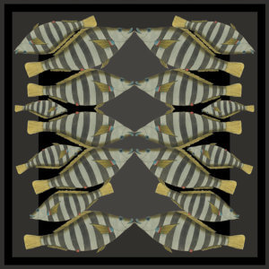 dark stripy kissing fish silk twill scarf design
