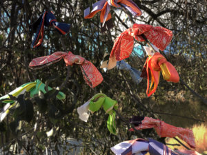 colorful long skinny silk scarf tied around the tree branches