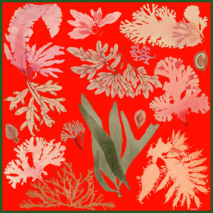 red floating algae printed silk scarf design