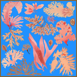 blue floating algae printed silk scarf design