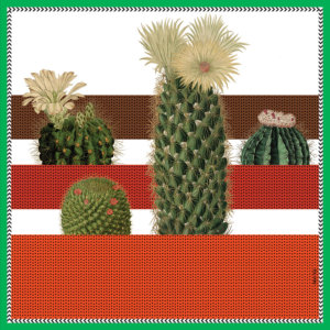 cactus printed small red and white color silk scarf design