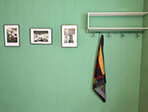 perrodin silk scarf hanging on a hook on green wall