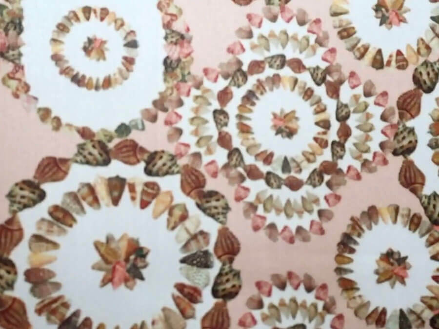 detail of shells printed on silk scarf