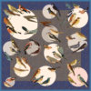 all over bird printed blue color silk scarf